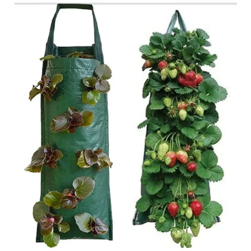 Nouveau sac de culture suspendu à 6 trous pour fraises