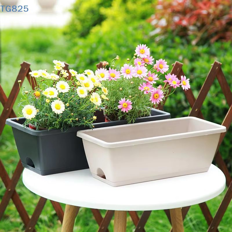 Pot de fleurs auto-absorbant pour culture de légumes d'intérieur avec trou de drainage et corde absorbante