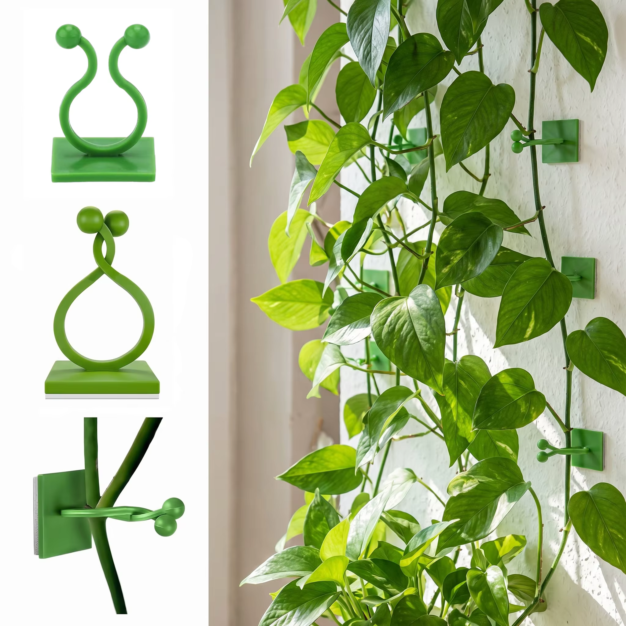 Clips muraux pour plantes grimpantes