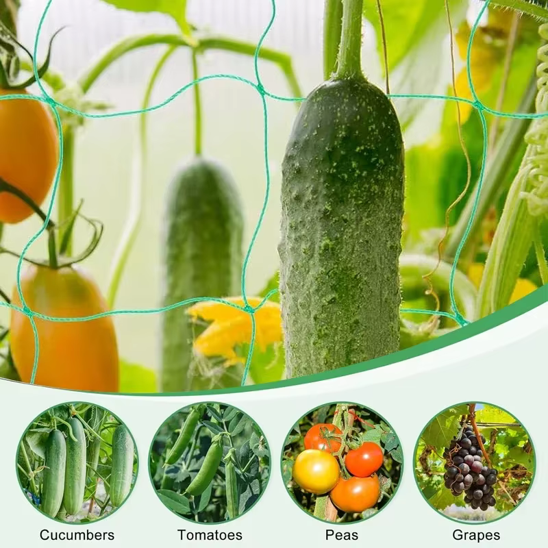 Maille de cadre pour plantes grimpantes à 18 actions