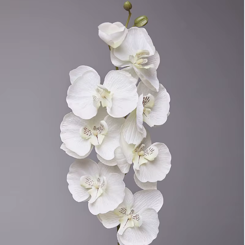 Orchidée papillon artificielle à 8 têtes