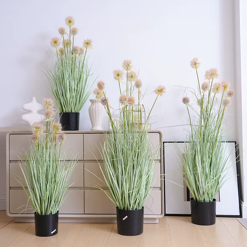 Boule d'oignon rose pour la décoration intérieure de la maison