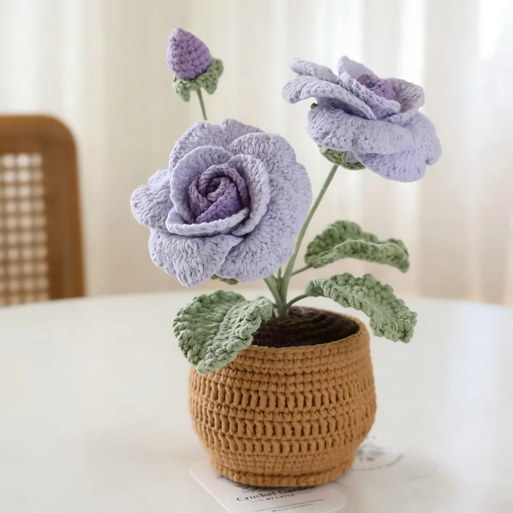 Plante en pot de roses à quatre feuilles et à deux têtes