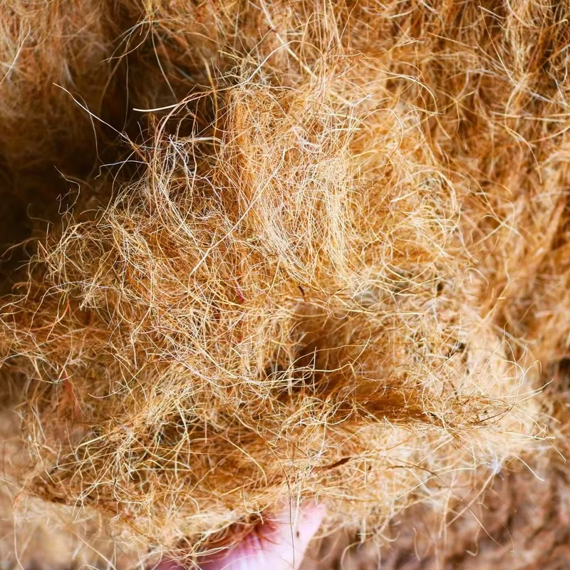 Couvercle de pot de fleurs en fibre de cosse AMP naturelle