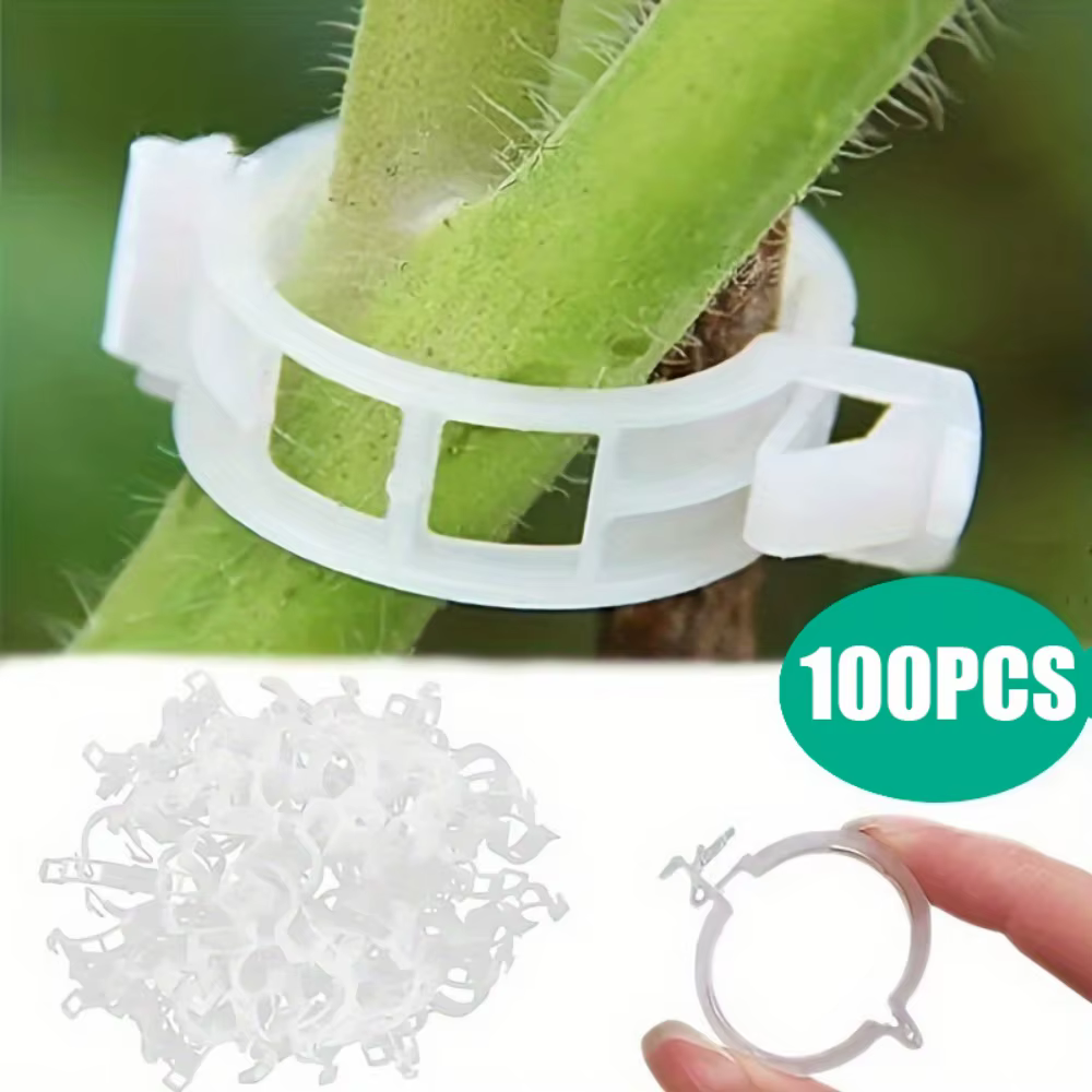 100 attaches pour plantes en plastique