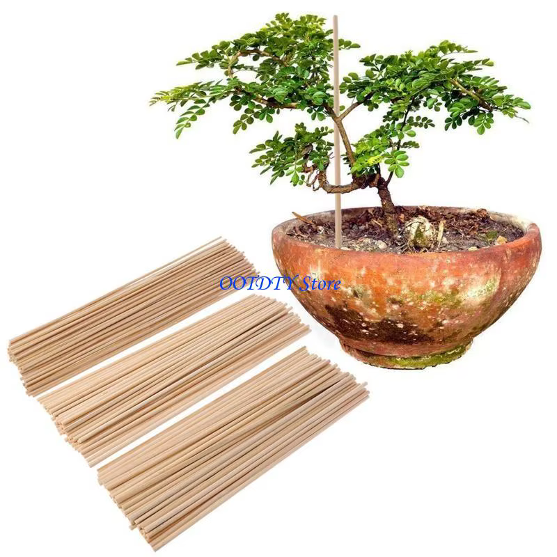 Bâtons bambou 367A, 50 pièces
