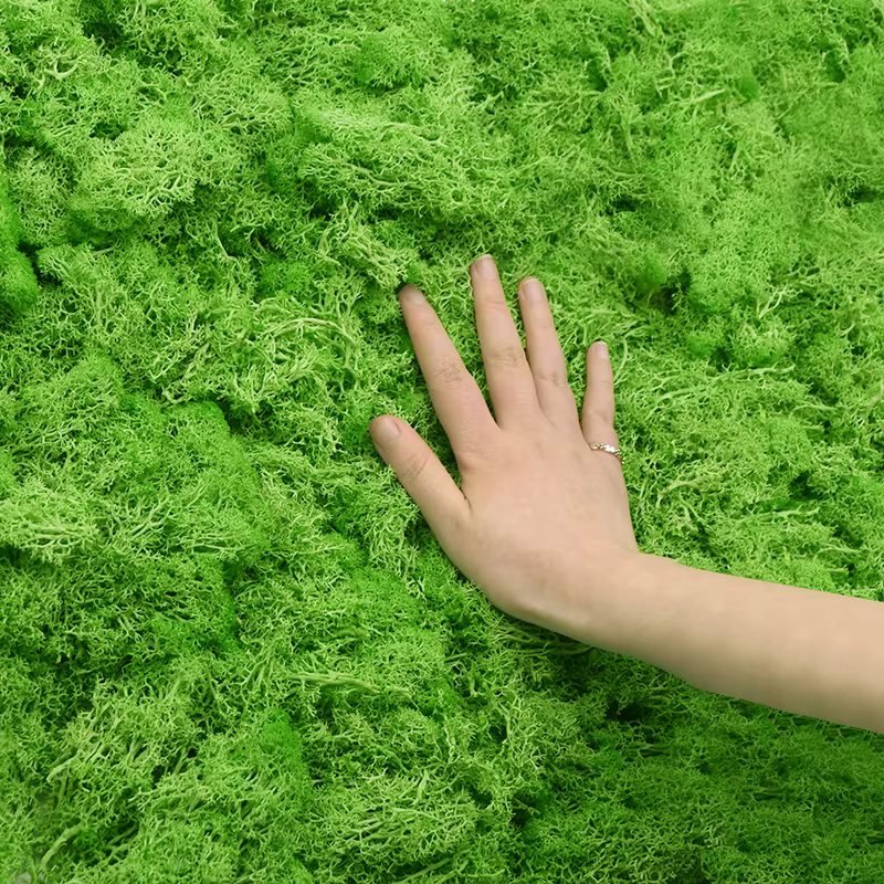 Mousse Naturelle Artificielle pour Décoration de Jardin