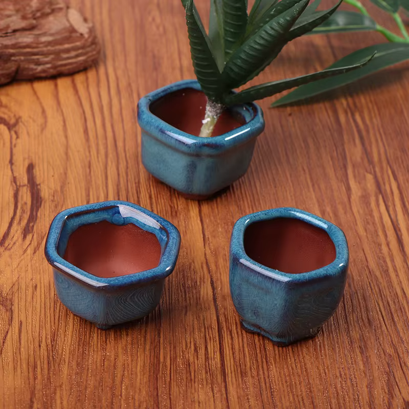 Mini pots de plantes avec trous