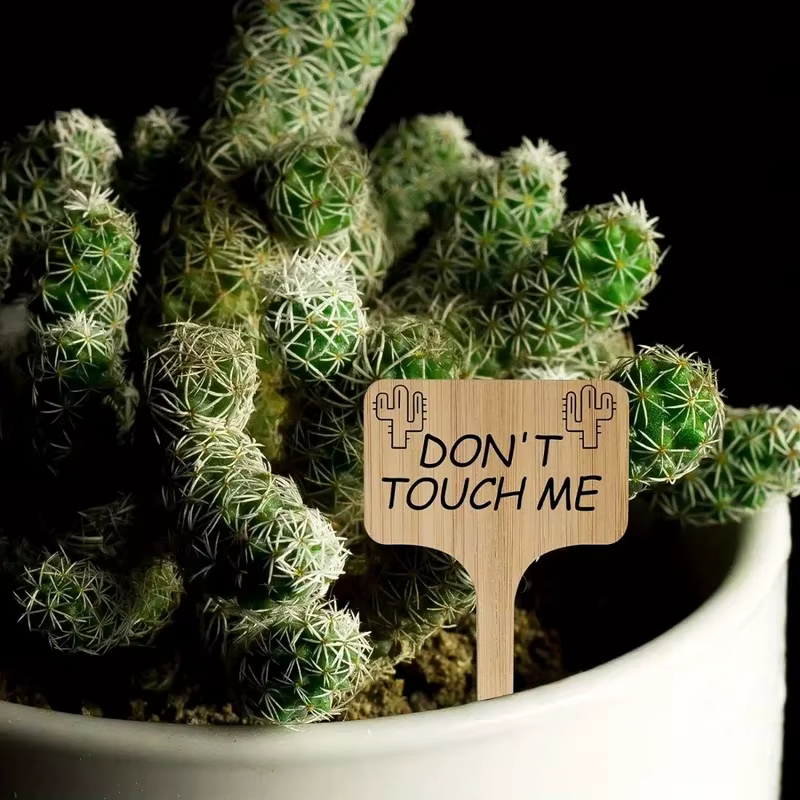 Étiquettes de plantes en bambou