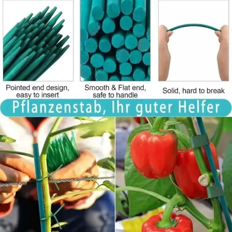 Bâtons de Support pour plantes