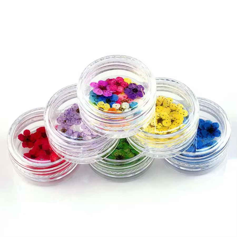 250 pièces Mini pressé séché Narcisse Jonquilla fleur plante herbier pour résine époxy bijoux signet carte postale Nailart bricolage