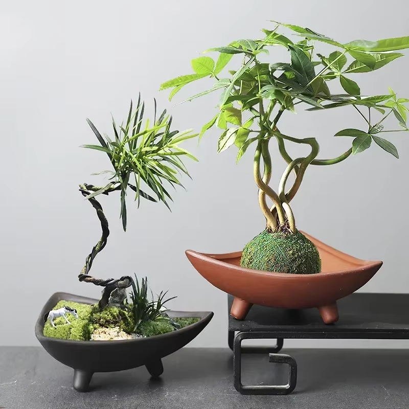 Pots de fleurs en céramique pour bambou