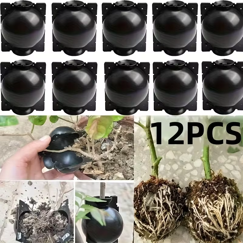 12 boules de bouturage pour plantes