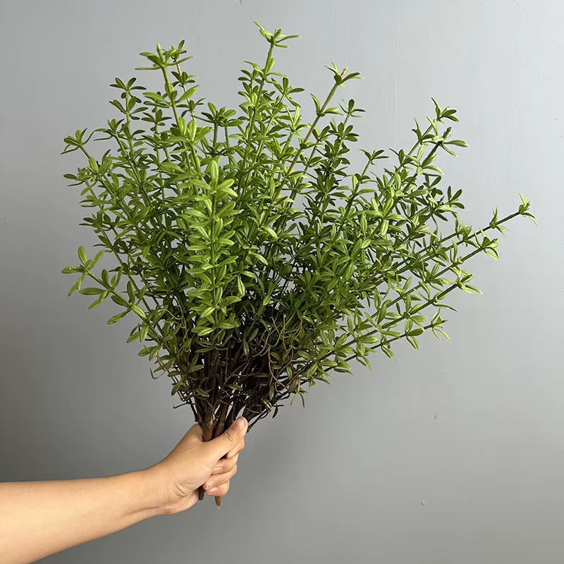 Lot de 6 fausses plantes vertes en plastique