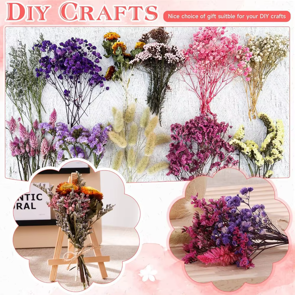 Boîte de matériaux floraux séchés en vrac pour l'artisanat