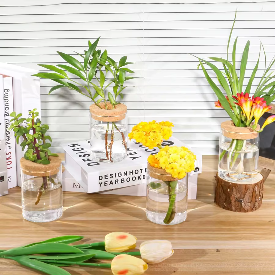 Station de propagation des plantes