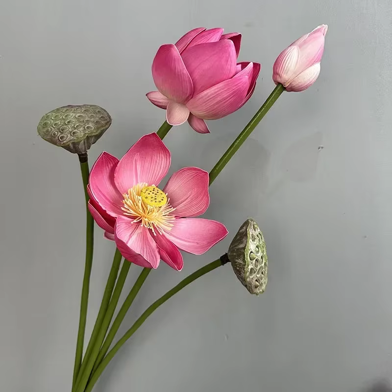 Simulation de bourgeon de Lotus en PU