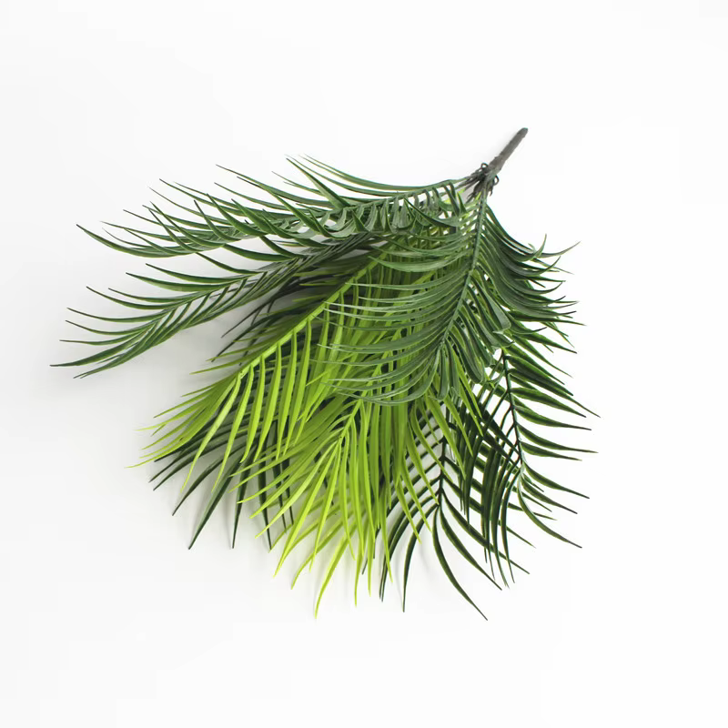Feuilles de palmier Monstera Tropical