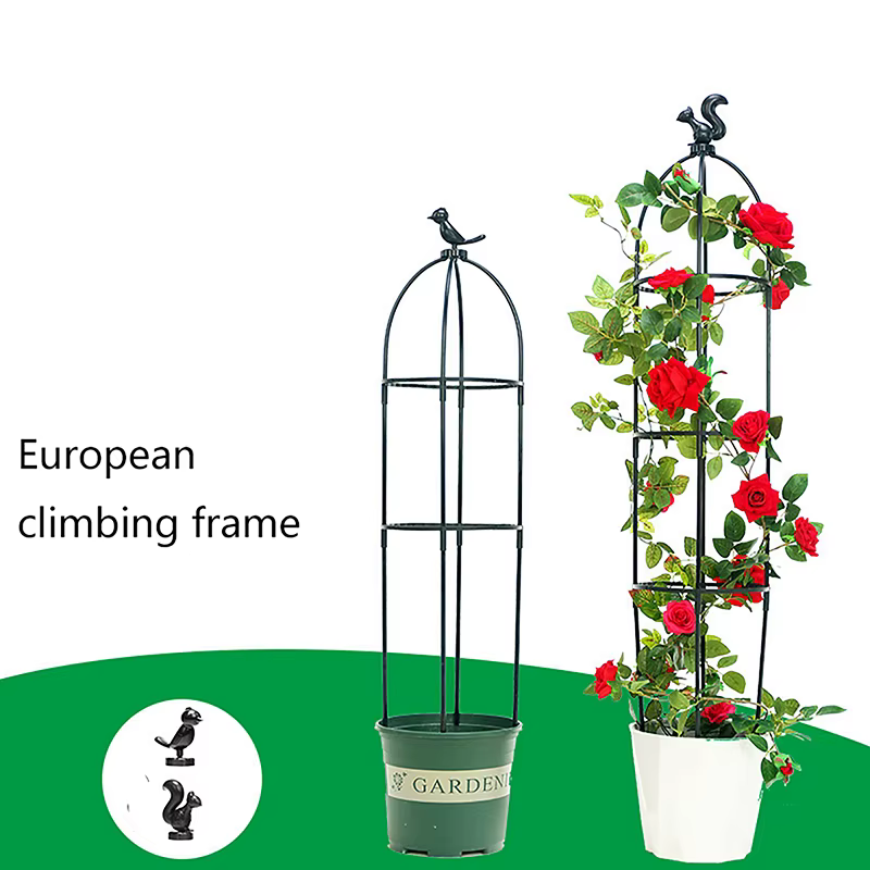 Cadre de support grimpant pour plantes grimpantes