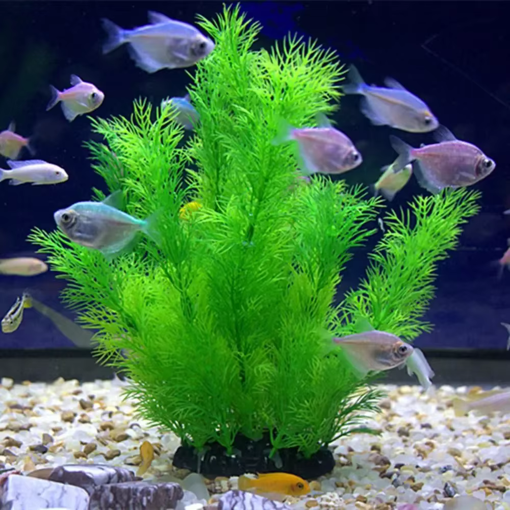 2026。 Ornements végétaux pour aquarium