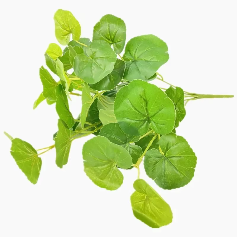Plante de Simulation d'aloès vert