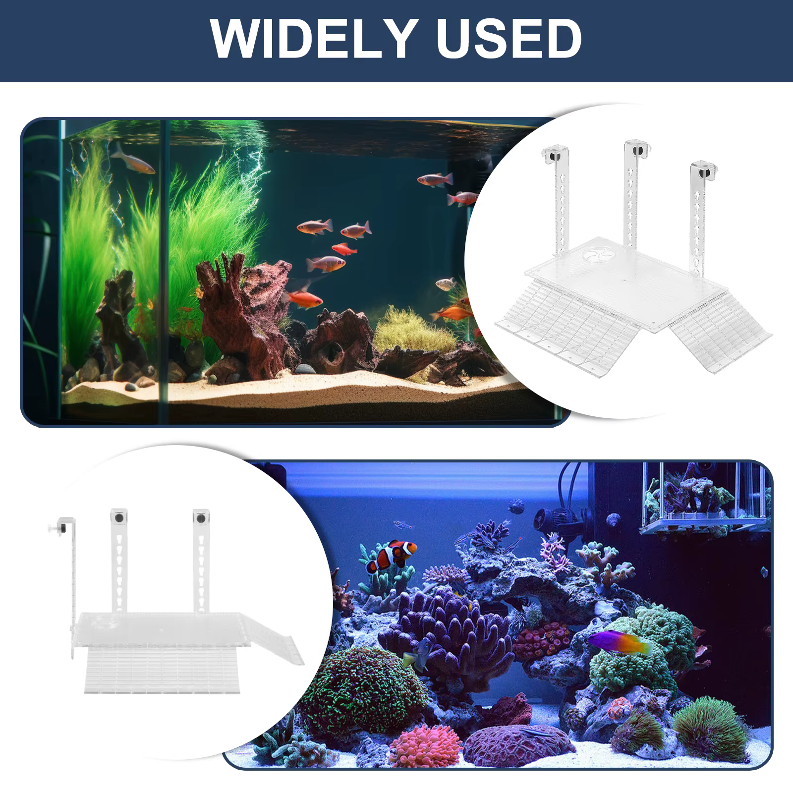 Plateforme pour tortue réglable en hauteur, plateforme de bain de soleil transparente en acrylique avec zone d'alimentation, accessoire pour aquarium de tortue et de poisson