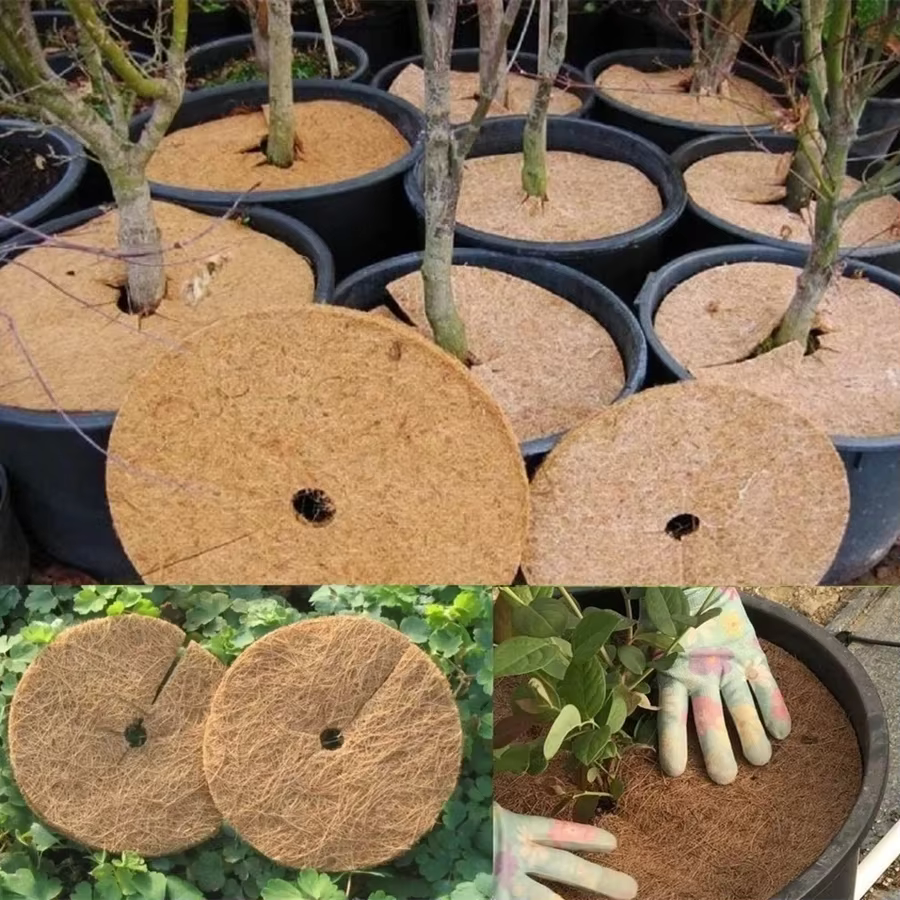 Protecteur d'anneau de paillis d'arbre en fibre de coco naturelle
