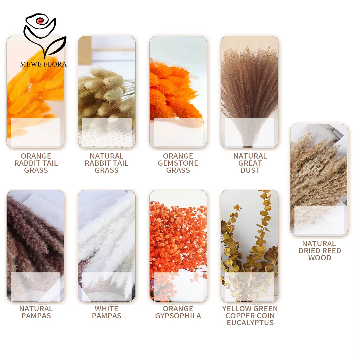 Ensemble de Bouquet de Fleurs Naturelles vaccées