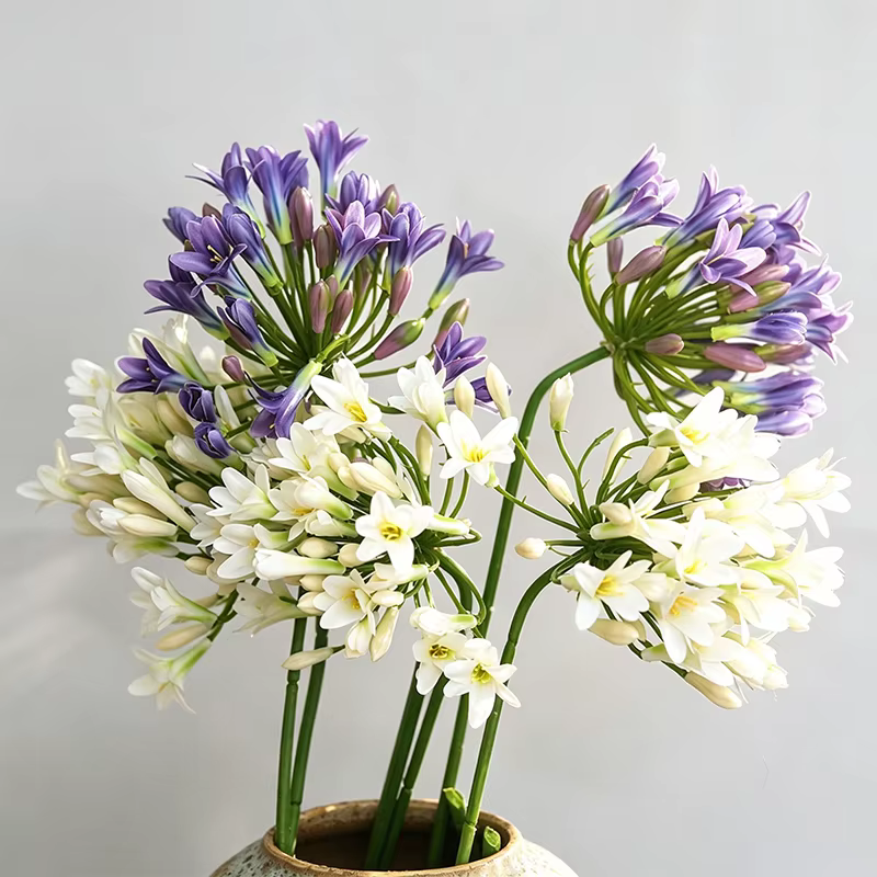 Fleurs artificielles Agapanthus de luxe de 75 cm