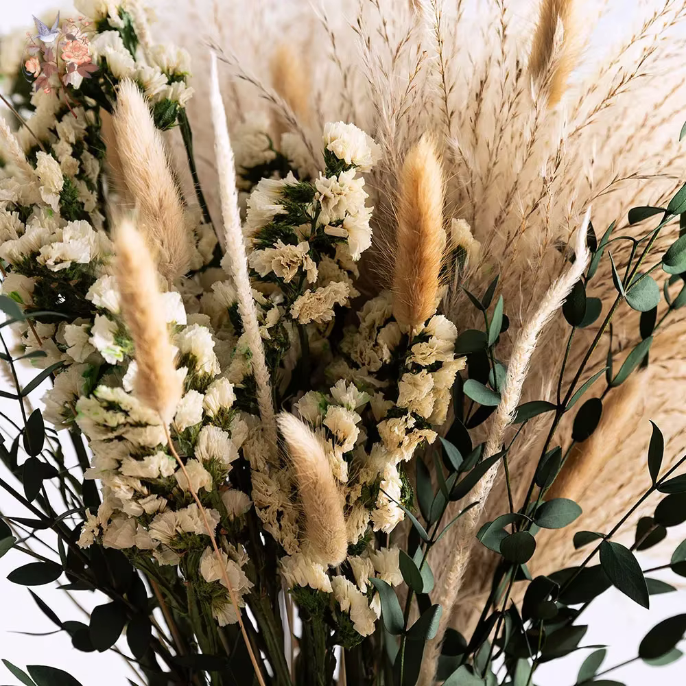 Ensemble de bouquets de fleurs d'eucalyptus Pampas séchées naturelles