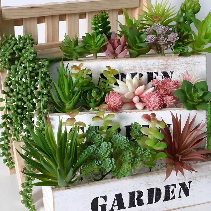 Plantes succulentes en PVC