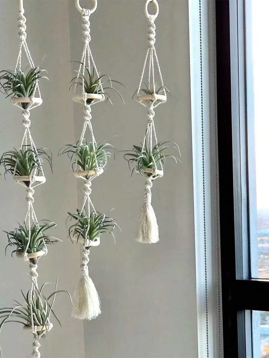 Cintres Muraux en Macramé pour Plantes à Air