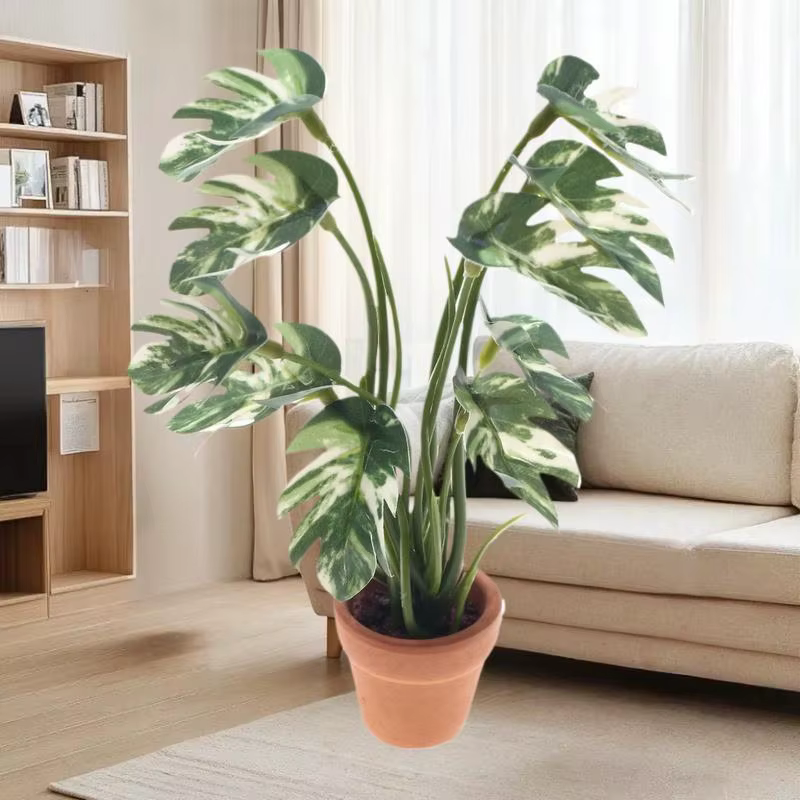 Plante Monstera Miniature délicate pour maison de poupée 1/12