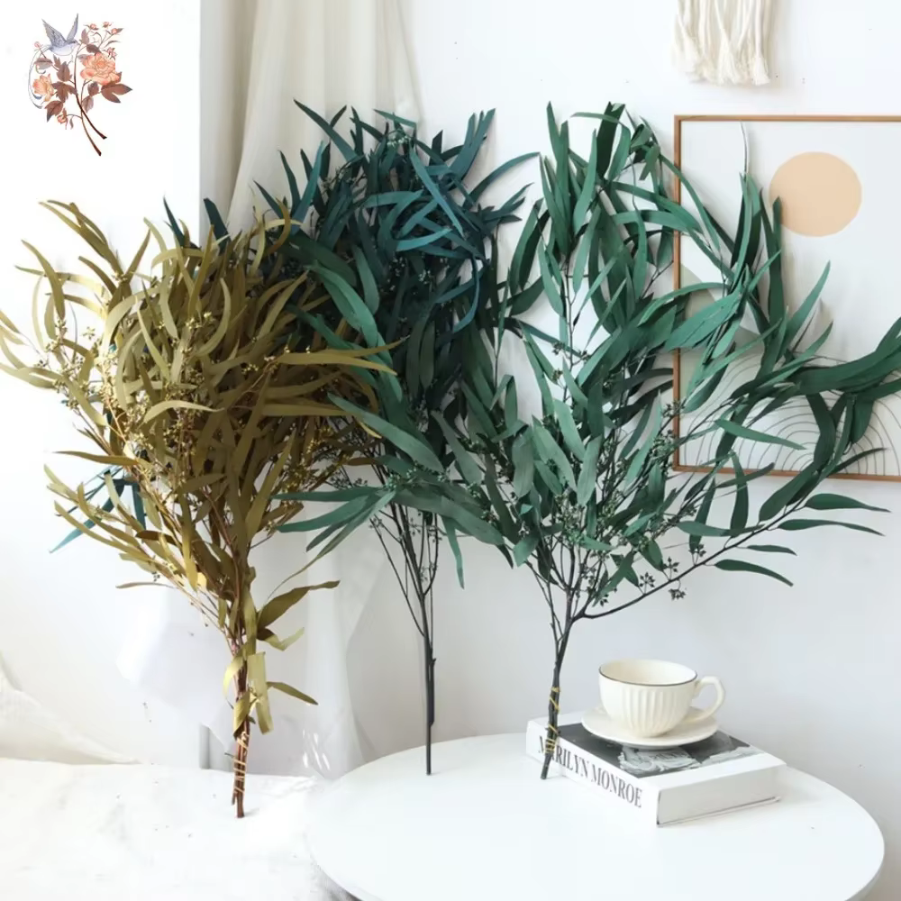 Fleur d'eucalyptus séchée naturelle