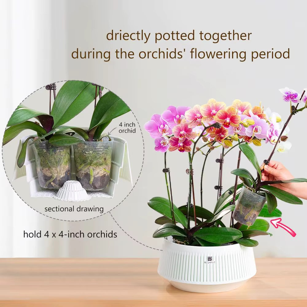 Pot d'orchidées avec trous et soucoupes
