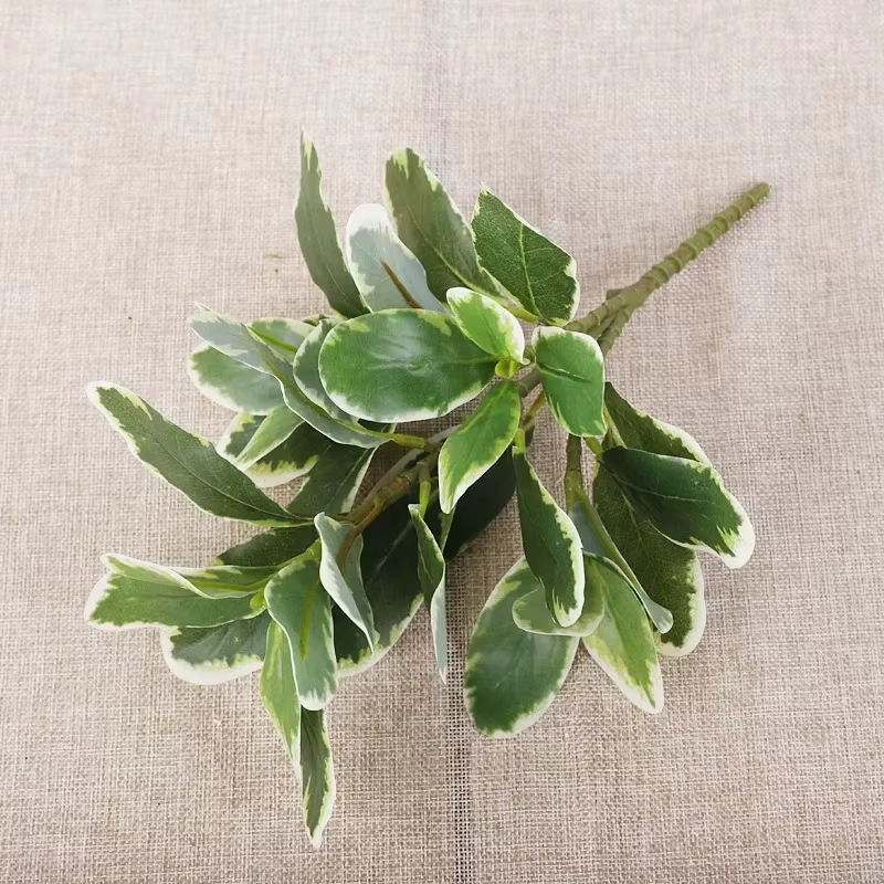 Plantes vertes en bois artificielles changeantes de documents