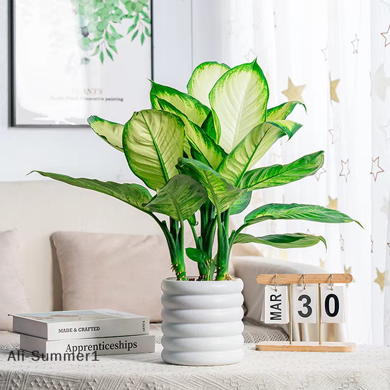Pot de fleur en plastique semblable à une porcelaine