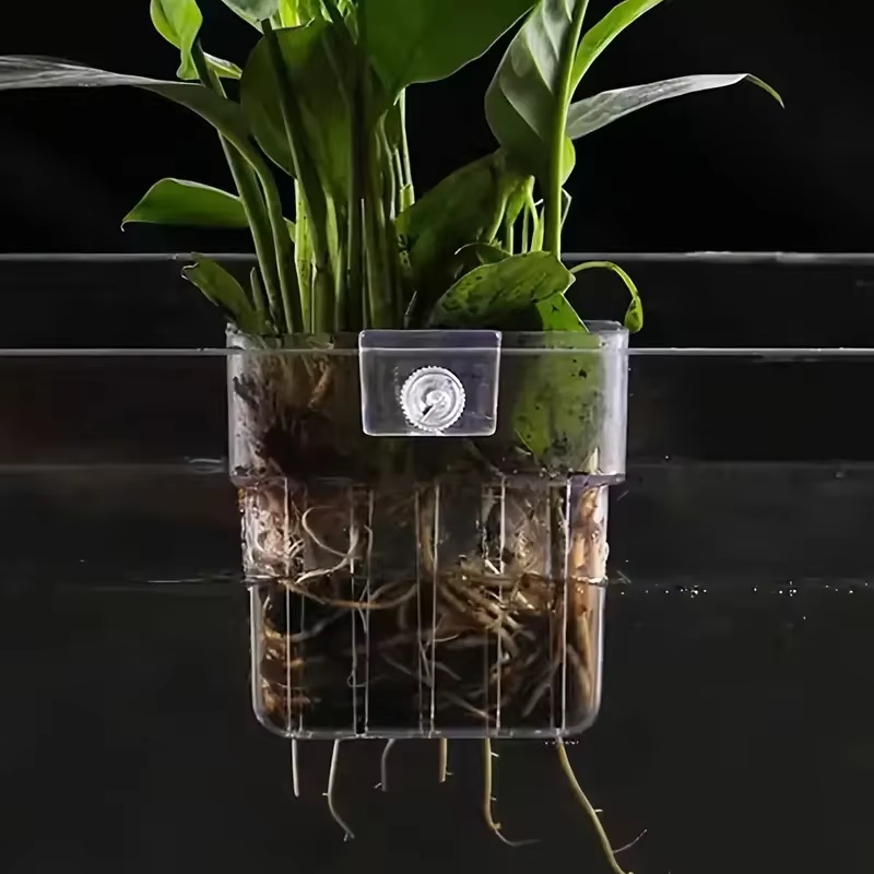 Pot de plantation hydroponique
