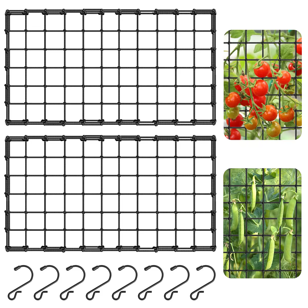 Filet à plantes élastique extensible, filet de tente de plantation, filet de plantation pour plantes grimpantes, filet de Support pour plantes