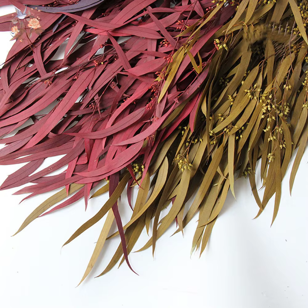 Bouquets de fleurs séchées d'eucalyptus