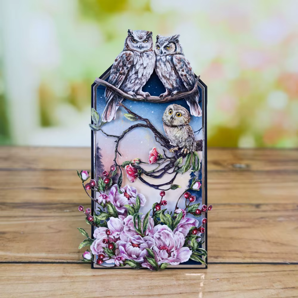 Joyeux anniversaire baies fleurs perchoir parfait plumes culbutant