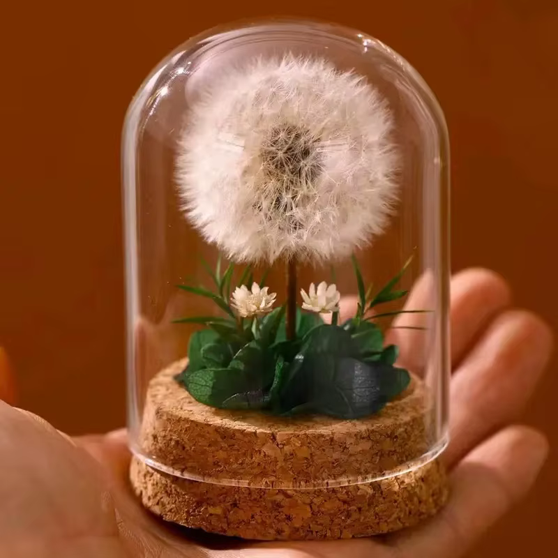 Bouquet de pissenlit séché pour décoration de bureau