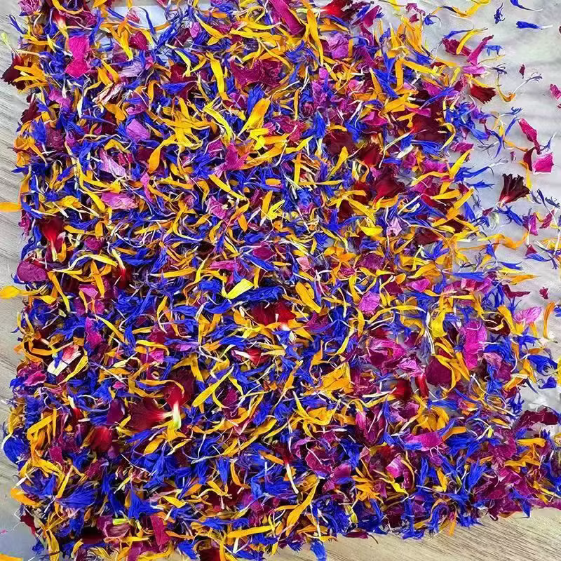 Pétales de bleuet naturel de qualité supérieure