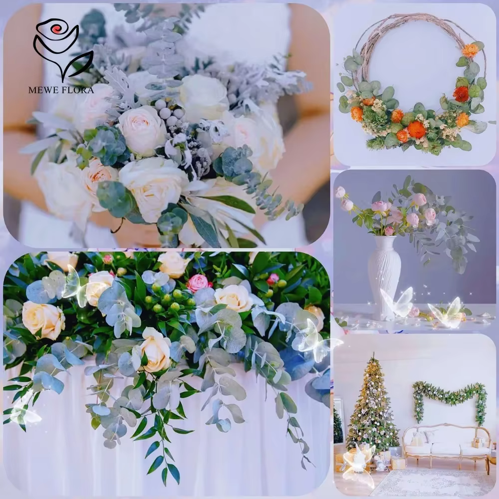 Tiges d'eucalyptus sèches pour la décoration intérieure