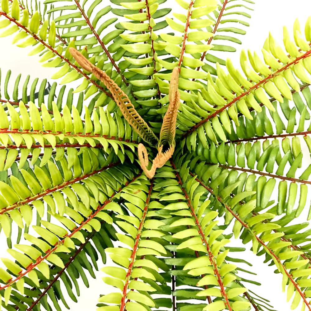 Grande plante artificielle persane de 50/65 cm