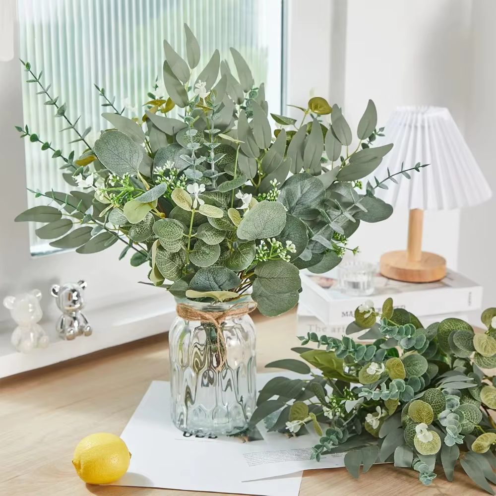 Tiges de feuilles d'eucalyptus