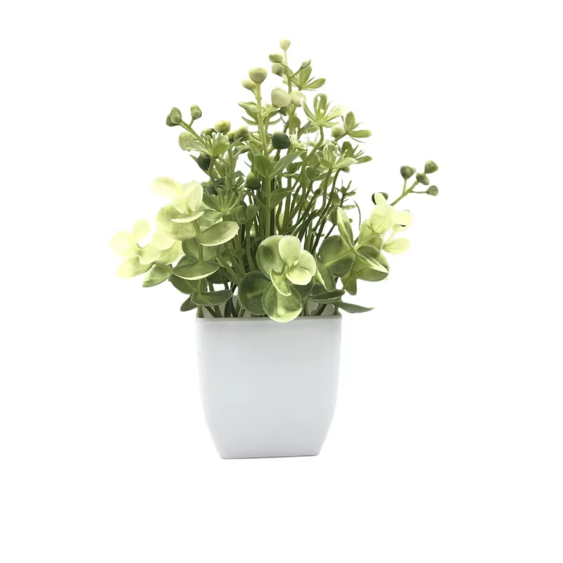 Simulation de plante verte