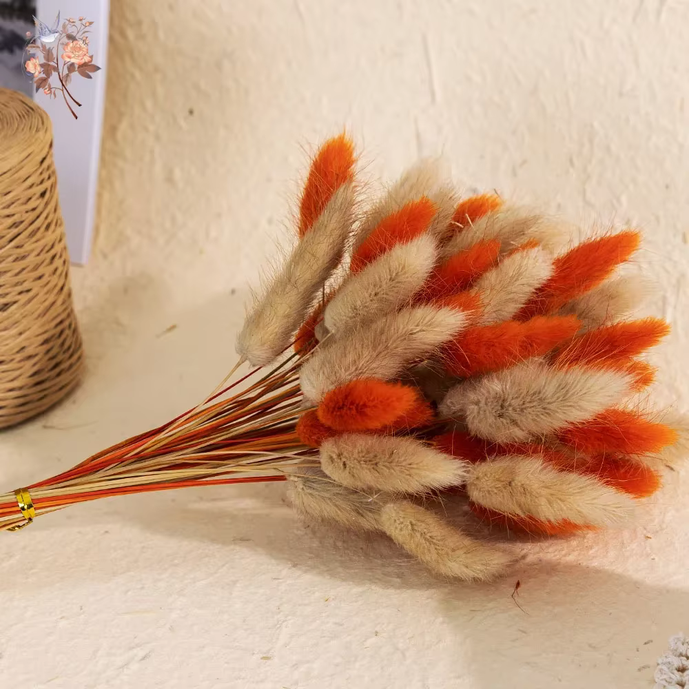 70 pièces de fleurs séchées naturelles mélangées : Herbe de queue de lapin, Pampas, Lagurus. Bouquet floral d'automne pour décoration de mariage, de maison et accessoires photo.