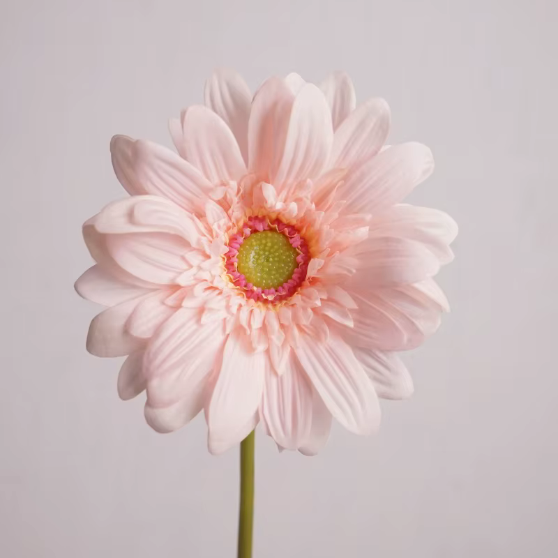 Gerbera-Fleurs Artificielles Hydratantes au Toucher Réel