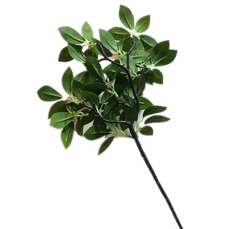 5 pièces artificielle Peperomia Sterm Tetraphylla branche d'arbre plante verte subtropicale